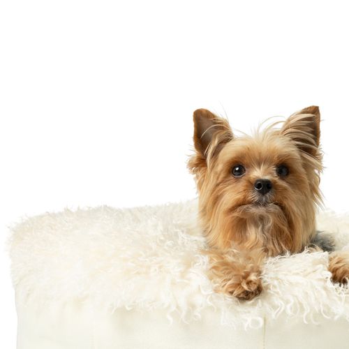 PupPouf™ Faux Fur Donut Bed in Plush Sheep Ivory