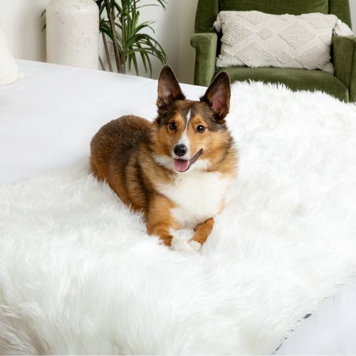 PupProtector™ Waterproof Bed Runner in Polar White