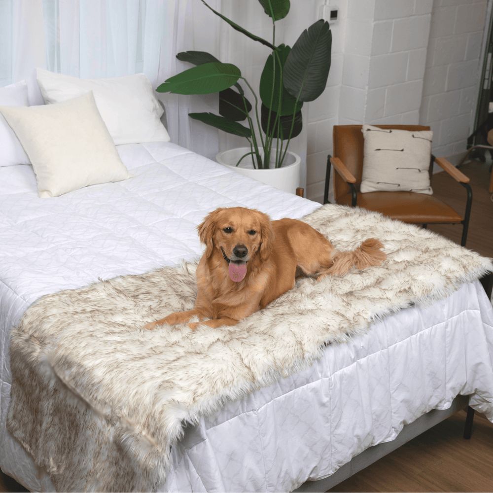 PupProtector™ Waterproof Bed Runner in White with Brown Accents