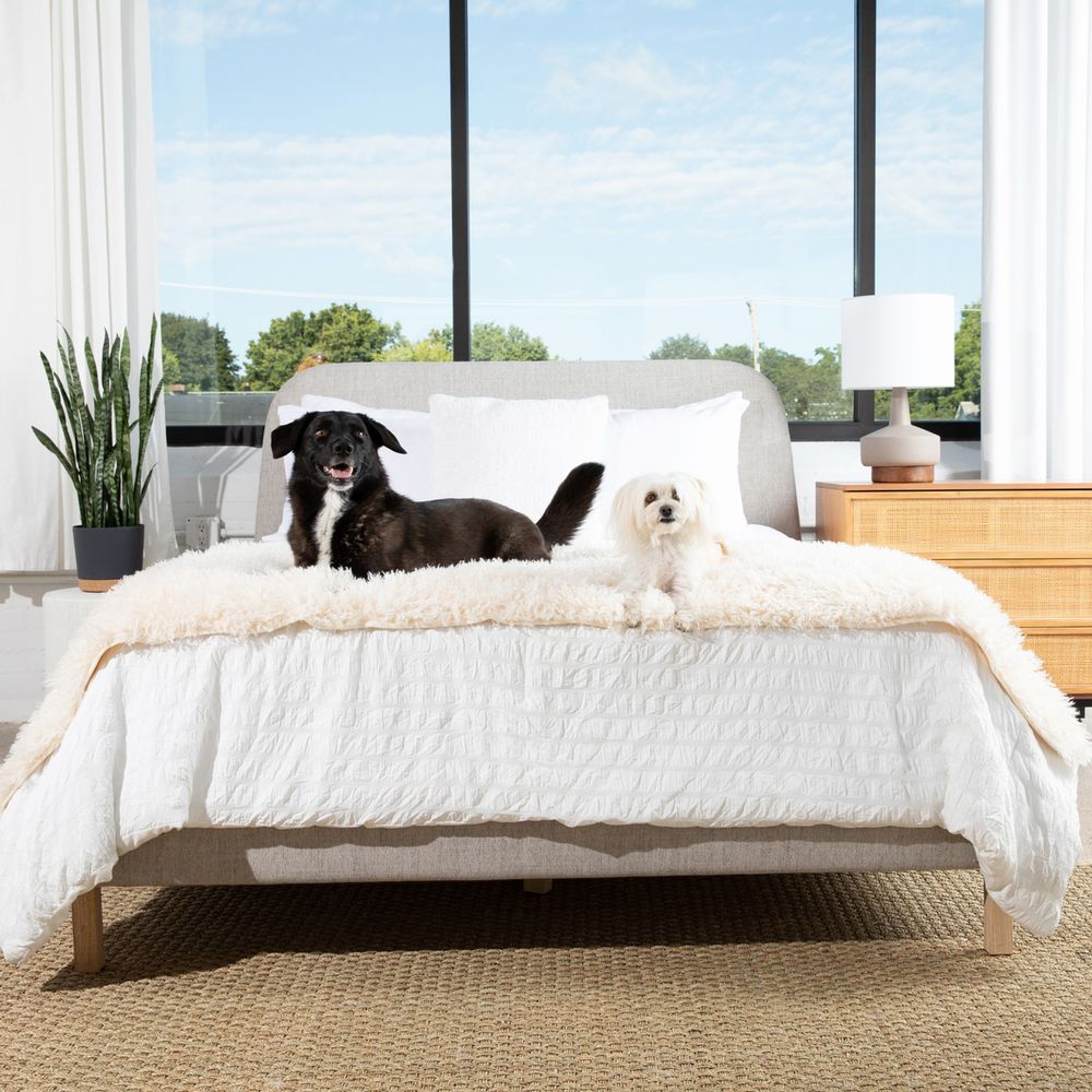PupProtector™ Luxe Waterproof Bed Runner in Plush Sheep Ivory