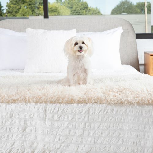 PupProtector™ Luxe Waterproof Bed Runner in Plush Sheep Ivory