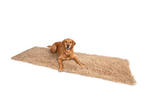 PupProtector™ Luxe Waterproof Bed Runner in Plush Sheep Tan