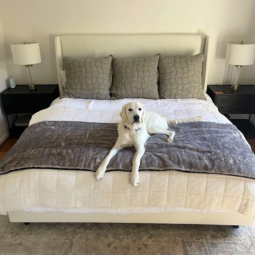 PupProtector™ Luxe Waterproof Bed Runner in Ultra Soft Chinchilla