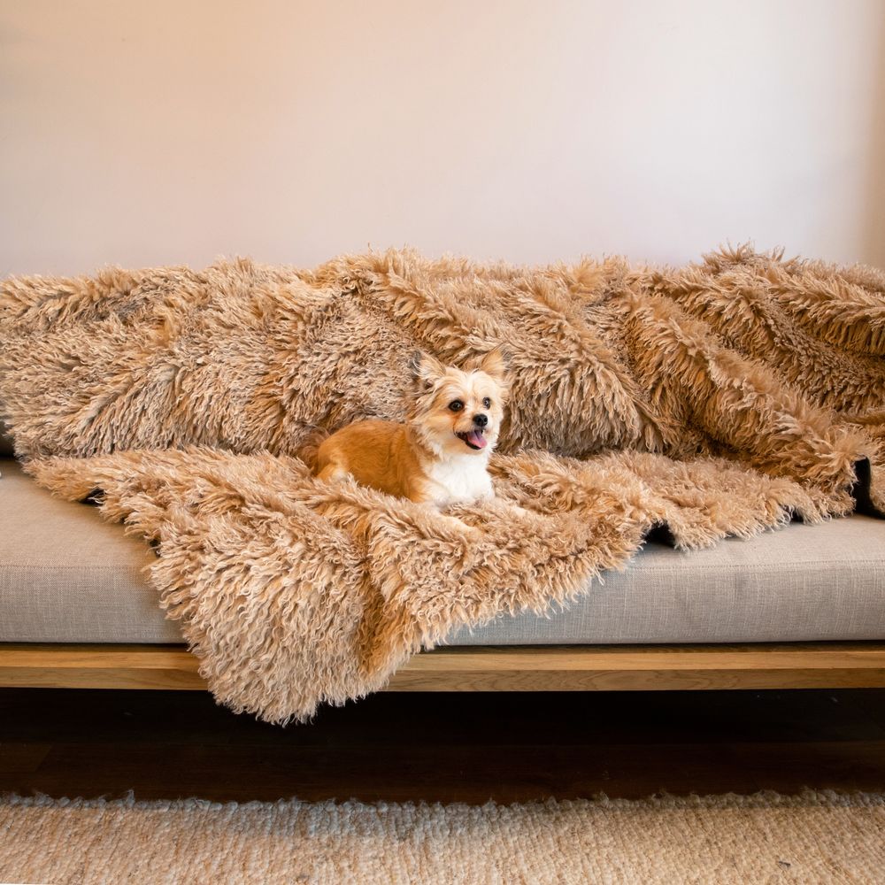 PupProtector™ Luxe Waterproof Blanket in Plush Sheep Tan