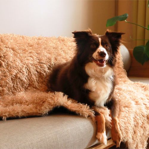 PupProtector™ Luxe Waterproof Blanket in Plush Sheep Tan