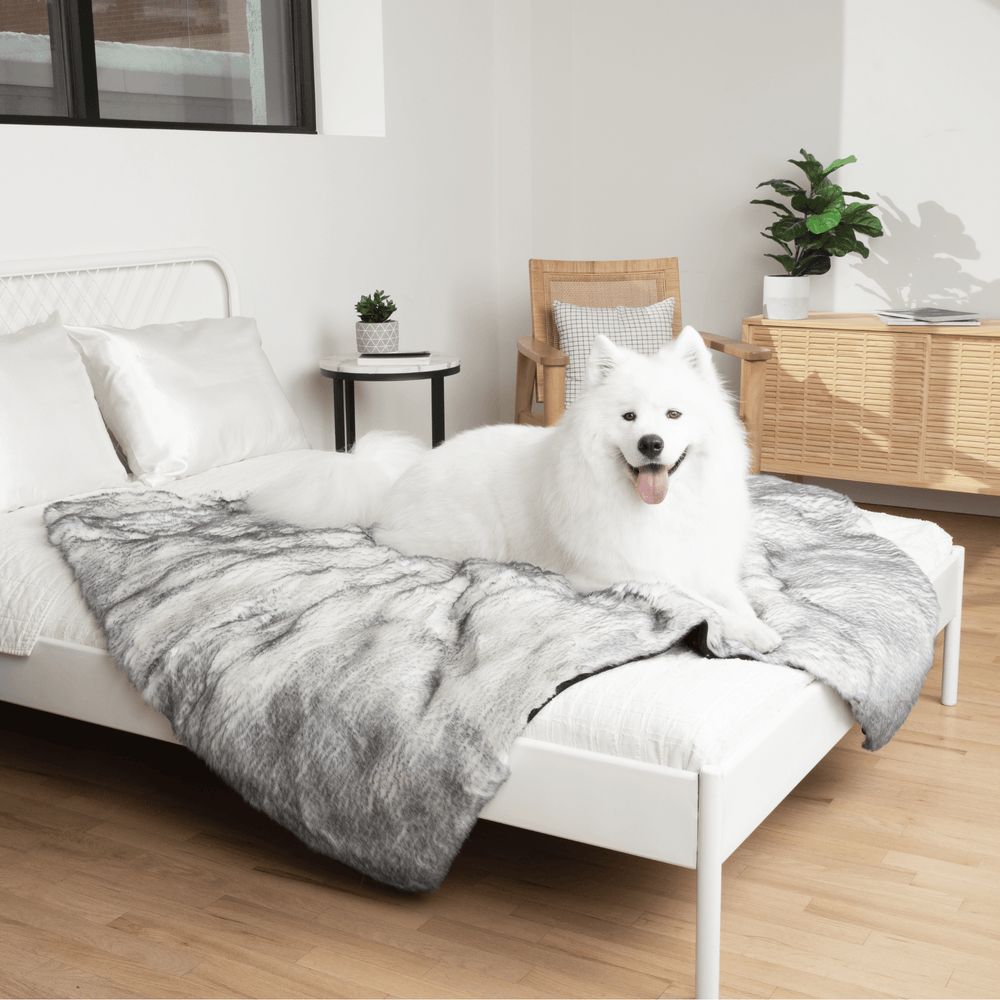 PupProtector™ Luxe Waterproof Blanket in Ultra Plush Arctic Fox