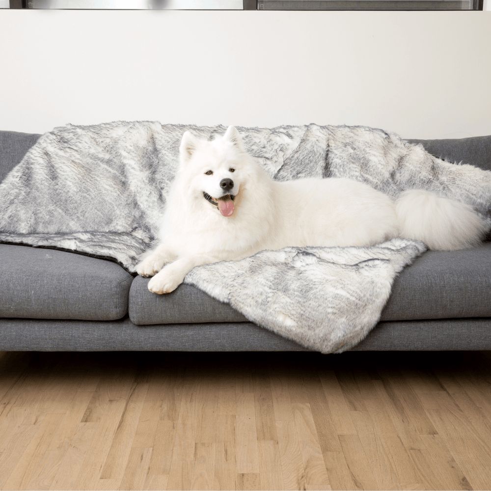 A white dog lying on a PupProtector Luxe blanket on a grey sofa