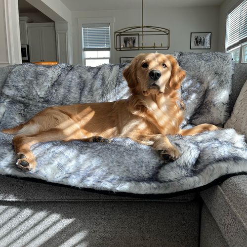 PupProtector™ Luxe Waterproof Blanket in Ultra Plush Arctic Fox