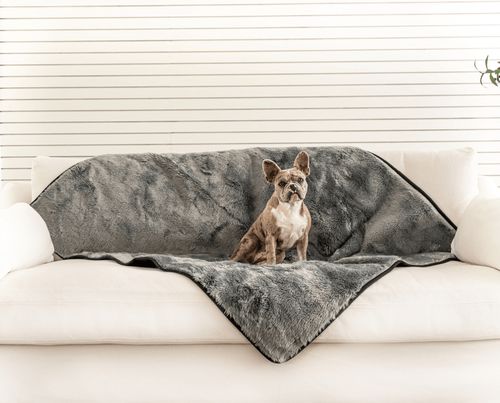 PupProtector™ Short Fur Waterproof Blanket in Charcoal Grey