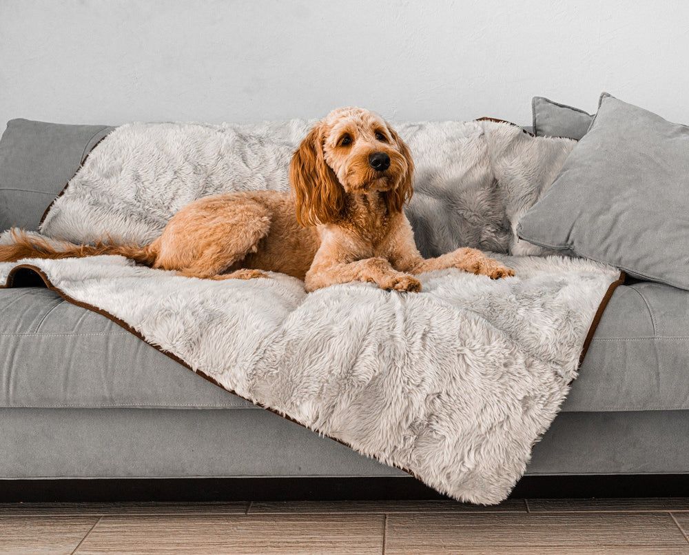 PupProtector™ Short Fur Waterproof Blanket in Grey