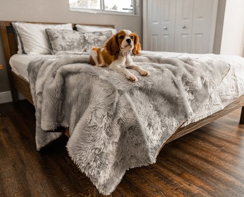 PupProtector™ Short Fur Waterproof Blanket in Grey
