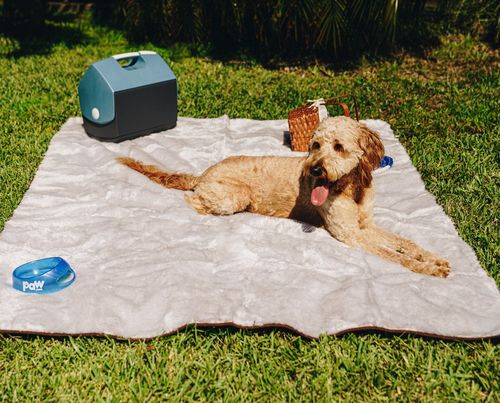 PupProtector™ Short Fur Waterproof Blanket in Grey