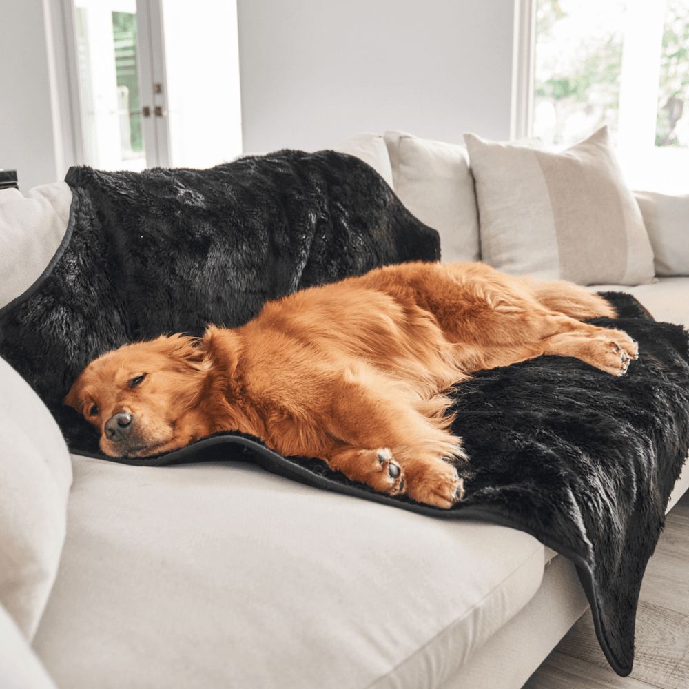 PupProtector™ Short Fur Waterproof Blanket in Midnight Black
