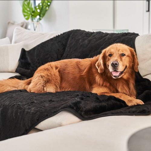 PupProtector™ Short Fur Waterproof Blanket in Midnight Black
