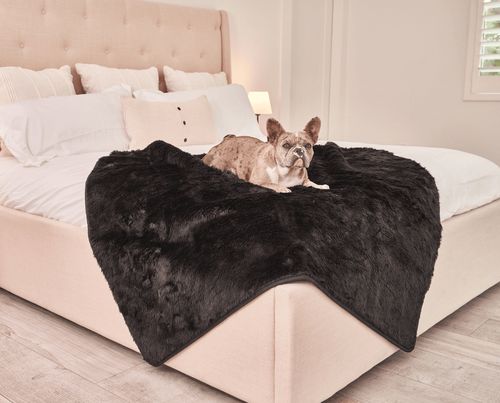 PupProtector™ Short Fur Waterproof Blanket in Midnight Black
