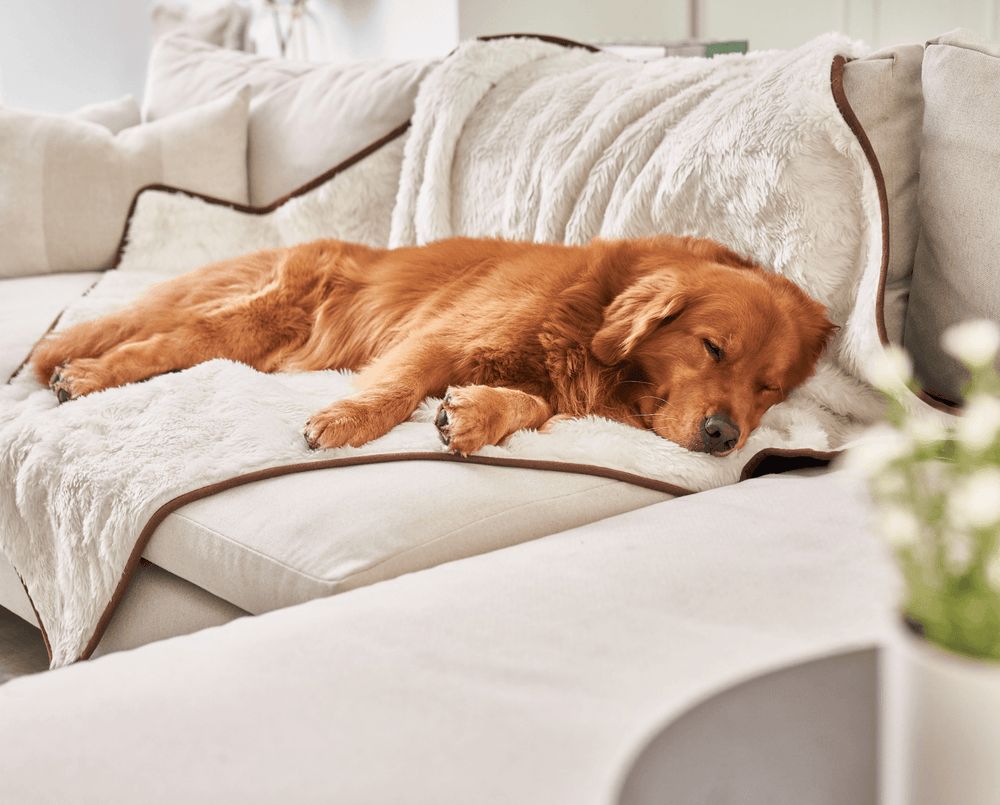 PupProtector™ Short Fur Waterproof Blanket in Polar White