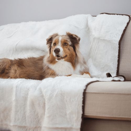 PupProtector™ Short Fur Waterproof Blanket in Polar White