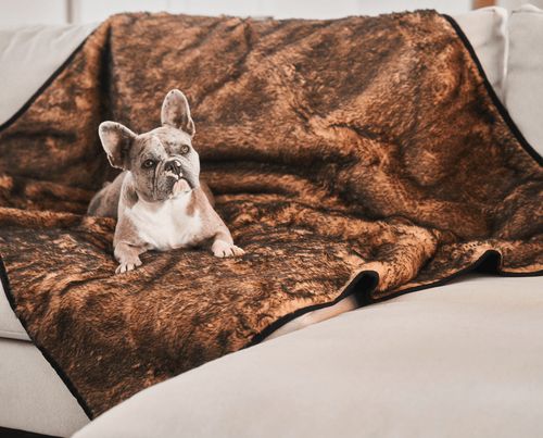 PupProtector™ Short Fur Waterproof Blanket in Sable Tan