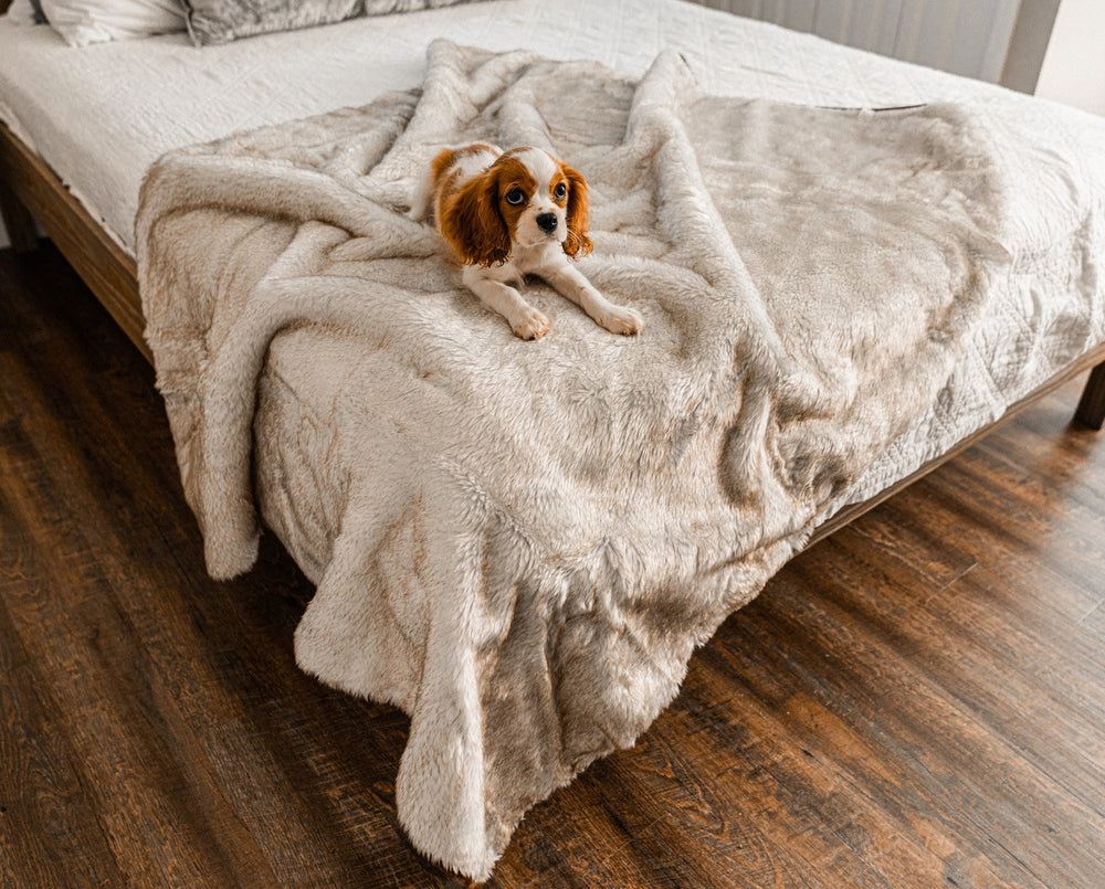 PupProtector™ Short Fur Waterproof Blanket in White with Brown Accents