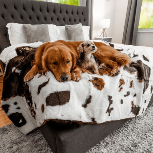 PupProtector™ Waterproof Throw Blanket in Brown Faux Cowhide