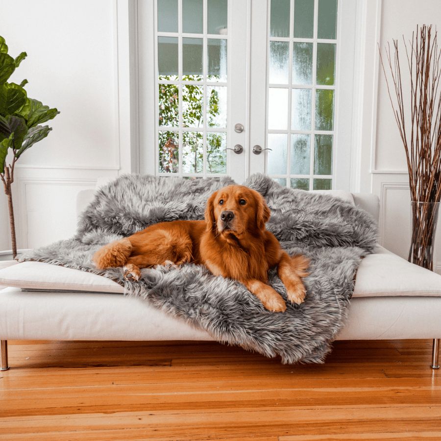 PupProtector™ Waterproof Throw Blanket in Charcoal Grey