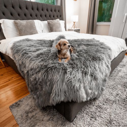 PupProtector™ Waterproof Throw Blanket in Charcoal Grey