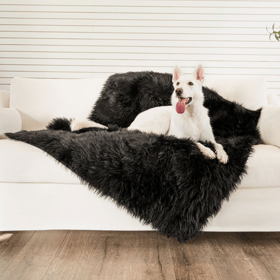 PupProtector™ Waterproof Throw Blanket in Midnight Black