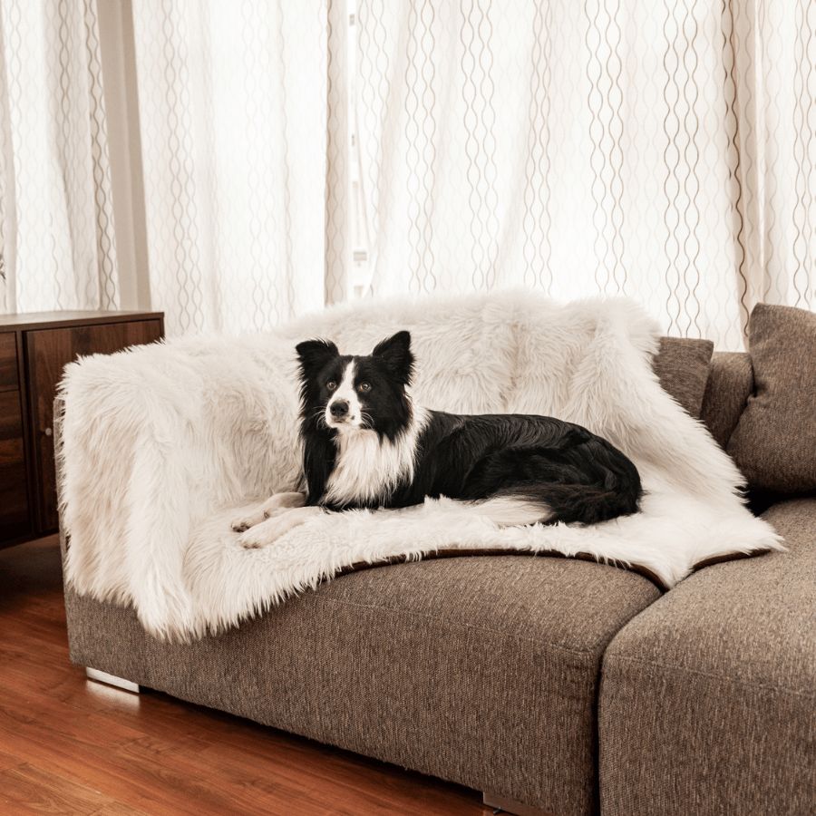 PupProtector™ Waterproof Throw Blanket in Polar White