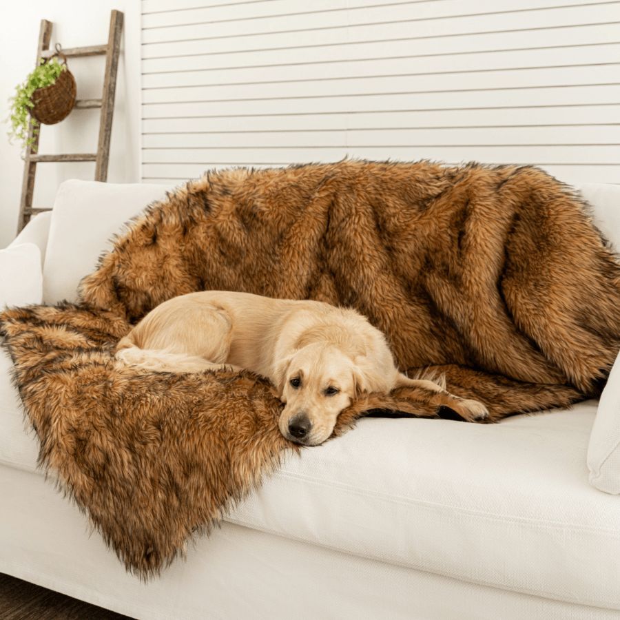 PupProtector™ Waterproof Throw Blanket in Sable Tan