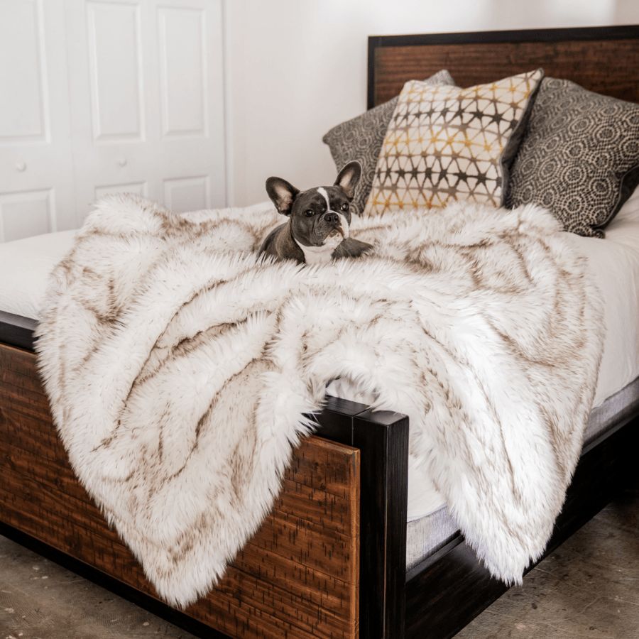 PupProtector™ Waterproof Throw Blanket in White with Brown Accents