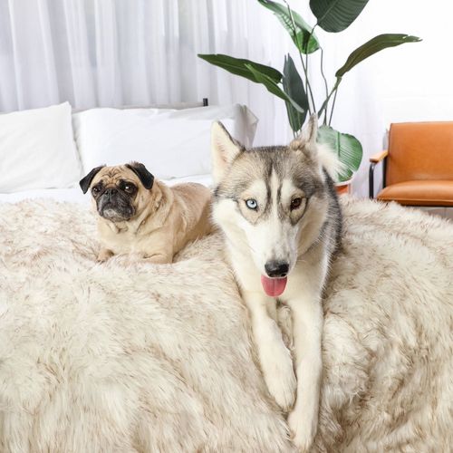 PupProtector™ Waterproof Throw Blanket in White with Brown Accents