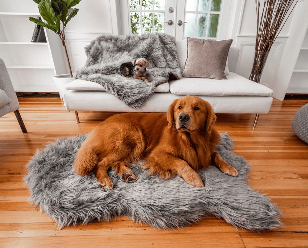 PupRug® Orthopedic Bed + Waterproof Blanket in Charcoal Grey