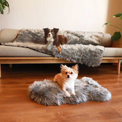PupRug® Orthopedic Bed + Waterproof Blanket in Charcoal Grey