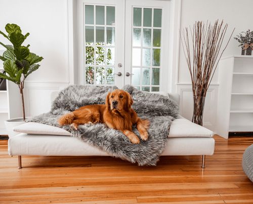PupRug® Orthopedic Bed + Waterproof Blanket in Charcoal Grey