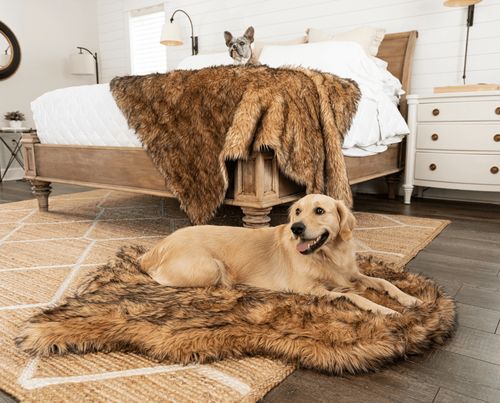 PupRug® Orthopedic Bed + Waterproof Blanket in Sable Tan
