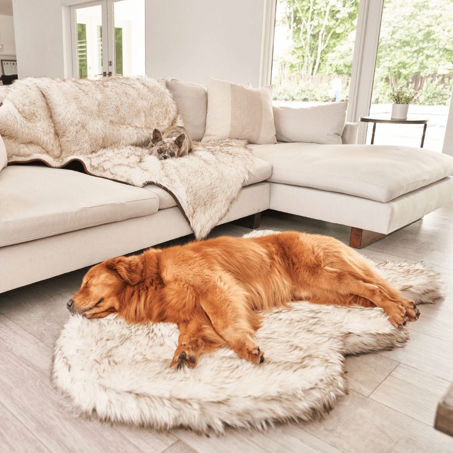 PupRug® Orthopedic Bed + Waterproof Blanket in White with Brown Accents