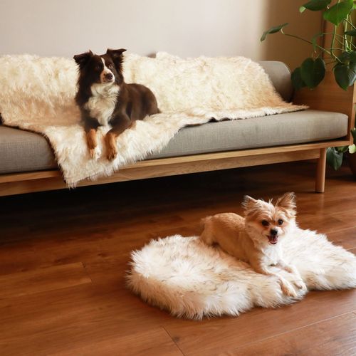 PupRug® Orthopedic Bed + Waterproof Blanket in White with Brown Accents