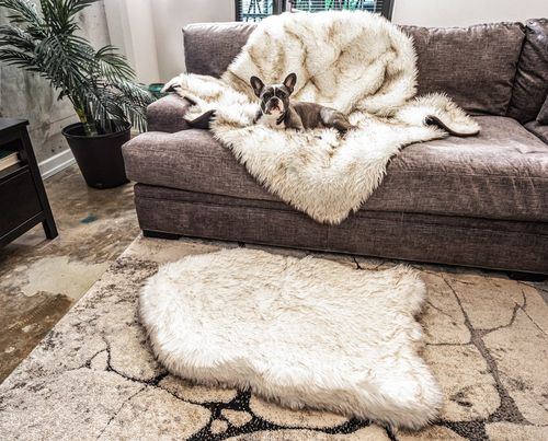 PupRug® Orthopedic Bed + Waterproof Blanket in White with Brown Accents