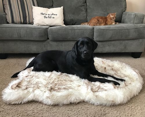 PupRug® Faux Fur Bed Cover in White with Brown Accents