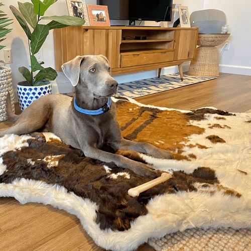 PupRug® Faux Cowhide Memory Foam Bed