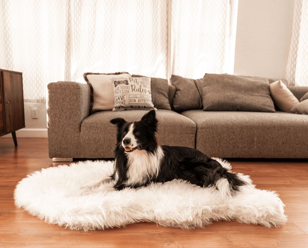 PupRug® Faux Fur Orthopedic Bed in Polar White