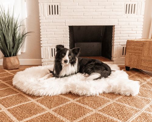 PupRug® Faux Fur Orthopedic Bed in Polar White