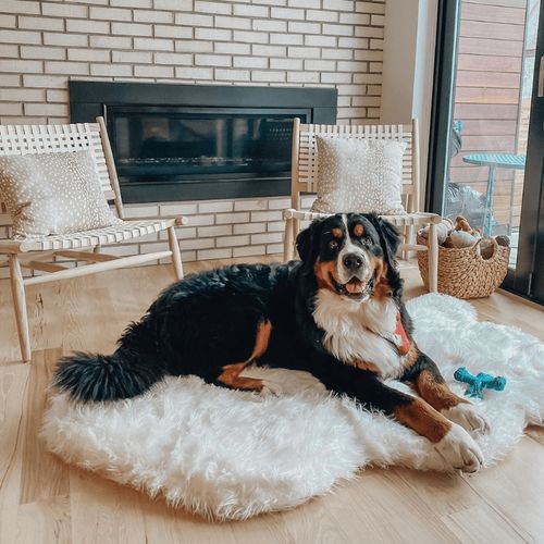 PupRug® Faux Fur Orthopedic Bed in Polar White