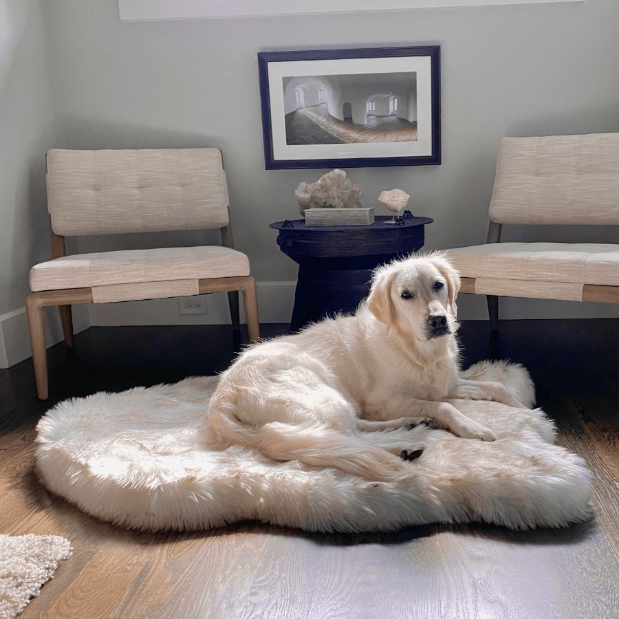 PupRug® Faux Fur Orthopedic Bed in White with Brown Accents
