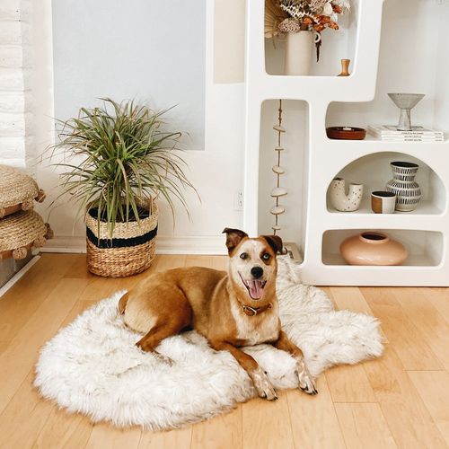 PupRug® Faux Fur Orthopedic Bed in White with Brown Accents