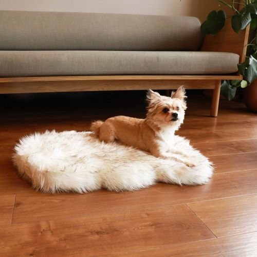 PupRug® Faux Fur Orthopedic Bed in White with Brown Accents