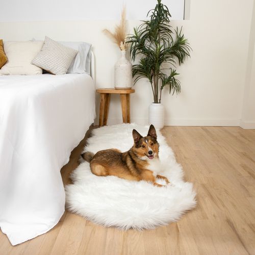 PupRug® Runner Memory Foam Bed in Polar White