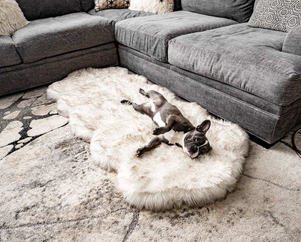PupRug® Runner Memory Foam Bed in White with Brown Accents