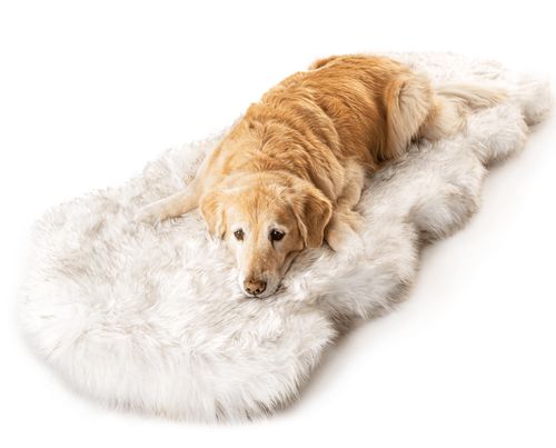 PupRug® Runner Memory Foam Bed in White with Brown Accents