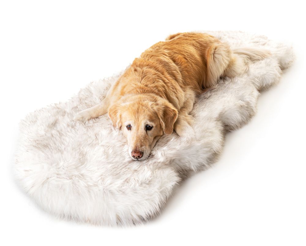 PupRug® Runner Bed Cover